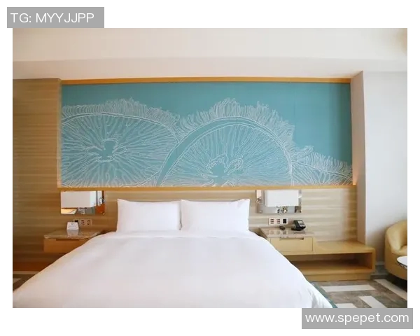 大马士革足球明星的崛起与辉煌历程探秘