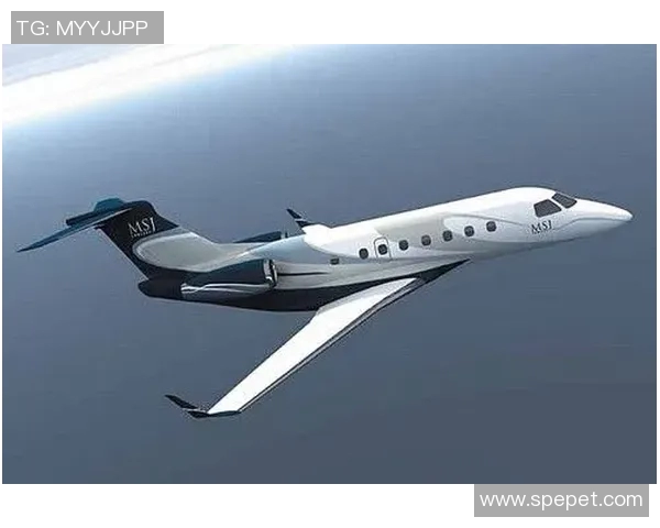 足球巨星的奢华天空之旅十大私人飞机揭秘与背后故事