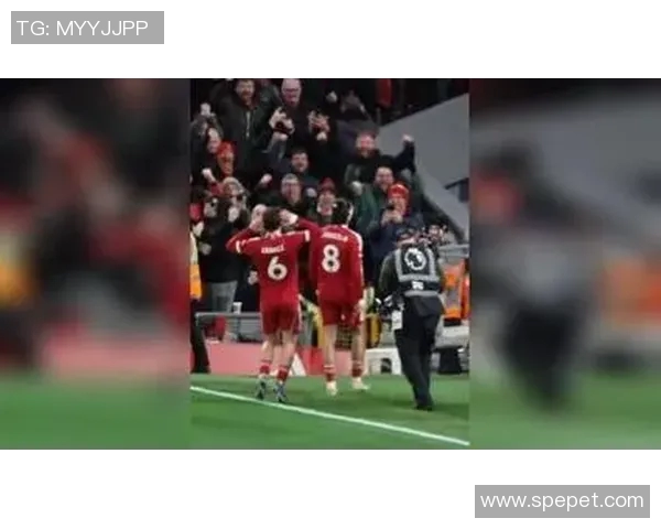 足球明星的独特绝技揭秘让你领略他们的非凡才华与惊艳瞬间