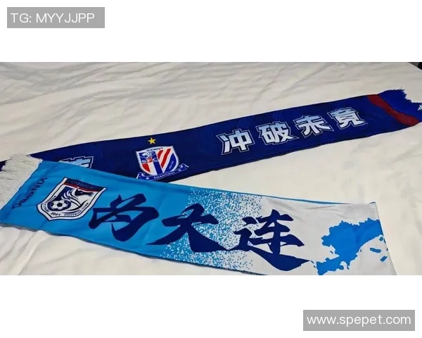 上海申花迎战贵州恒丰力争主场全取三分展现实力