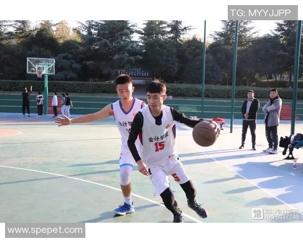 篮球明星学院：培养未来篮球巨星的摇篮与梦想之地