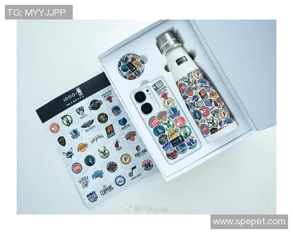 明星篮球手环礼盒全新上市精美设计助你展现运动风采与个性魅力